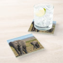 Search for reserve coasters Savannah
