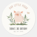 Search for cute little pig stickers Piggy