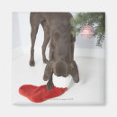 Recherche de collants magnets Rouge