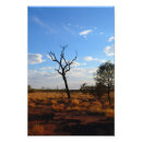 Search for outback Desert