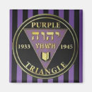 Search for triangle magnets Purple