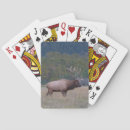 Recherche de taureau jeux de cartes Classique