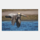 Search for nature animal stickers Wild