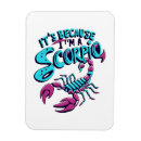 Recherche de signes de zodiaque magnets Vintage