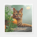 Search for cat napkins Plants