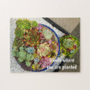 Recherche de plants puzzles Cactus