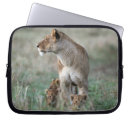 Search for panthera leo electronics Cub