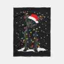 Search for lab blankets Black lab labrador