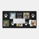 Recherche de chat domestique tapis souris Chien