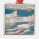 Search for turkey ornaments Asia