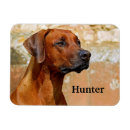 Search for ridgebacks magnets Dog