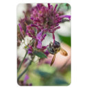 Recherche de accrocher magnets Nature