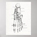 Search for foot posters Bones