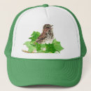 Search for sparrow hats Bird