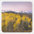 Search for colorado mountains stickers Telluride