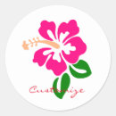 Search for hibiscus flower stickers Lei