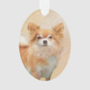Search for long haired chihuahua ornaments Puppy