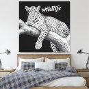Search for wildlife canvas prints White