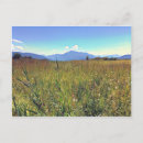 Recherche de pilatus cartes postales Vacances