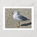 Recherche de factures cartes postales Nature