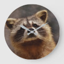 Recherche de raton laveur horloges Ratons laveurs