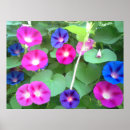 Recherche de timbre de nature posters Fleurs