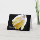Search for daffodil cards Flower