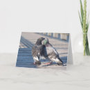 Search for kiss cards Two
