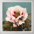 Recherche de vintage magnolia posters Rose