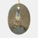 Search for meerkat ornaments Mammals