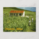 Recherche de sucrerie cartes postales Ferme