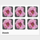 Search for oil paint stickers Pink