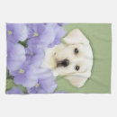 Recherche de labrador retriever cuisine linges Chiot