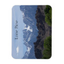 Search for cap magnets Beauty