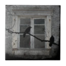 Search for old tiles Grey