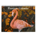 Search for flamingo calendars Animals