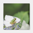 Search for tree frogs magnets Horizontal