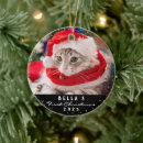 Search for black cat ornaments 2 photo