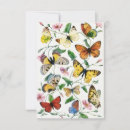Search for illustrator note cards Insect