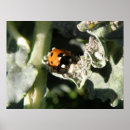 Recherche de rampant art Mignon