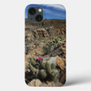 Search for sur electronics Nature