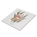 Recherche de barbu carreaux Botanique