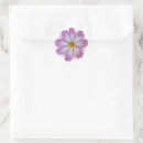 Search for light background stickers Flower
