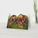 Search for lion pride cards Nature