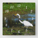 Search for hunting clocks Wildlife