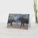 Recherche de éléphants drôles cartes postales Meilleur ami