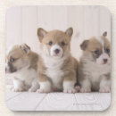 Search for sitting coasters Babies