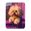Recherche de chiot drôle magnets Chien