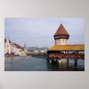 Recherche de luzerne Photographie