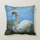 Search for baby swan pillows Cygnet